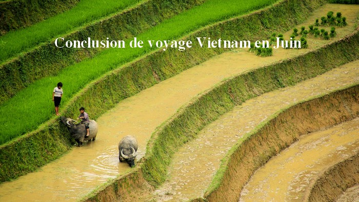 Guide de voyage Vietnam en Juin:  Tout ce qu'il faut savoir avant de partir